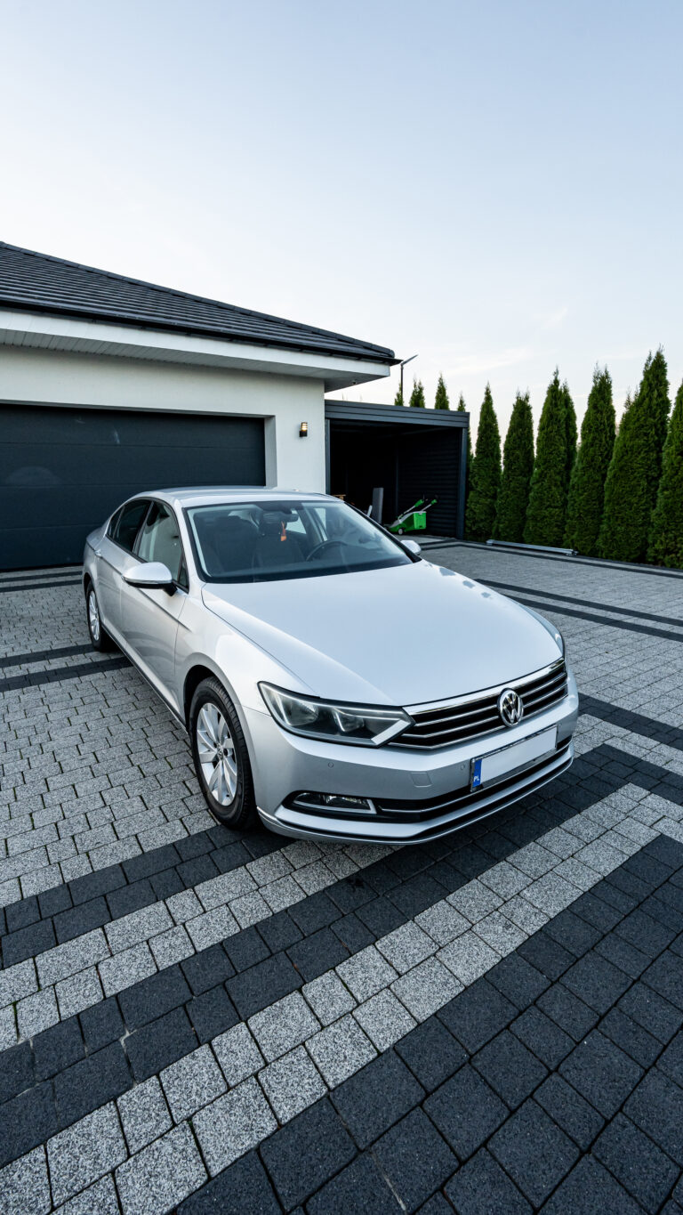 Passat-28